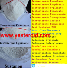 Anabolic Androgenic Steroids Trestolone Acetate (7 alpha-Methyl-19-nortestosterone) for Sell